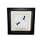 Camponotus gigas trail in black frame 16x16cm