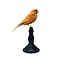 Mounted orange canary (light)