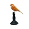 Mounted orange canary (light)