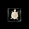 Turtle skeleton in resin