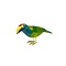 Emerald toucanet figurine