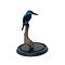 Mounted Blue breasted kingisher in glass dome