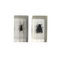 Insects in resin (2 pieces)