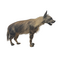 Mounted Brown Hyena