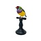 Mounted Gouldian finch (B)