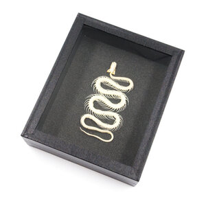 Klein slangenskelet in elegante box (15 x 18 cm)