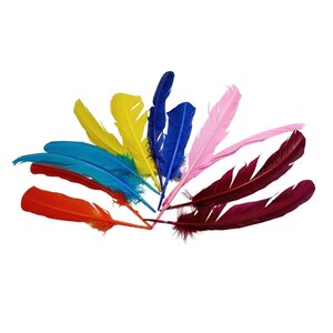 400 pieces of coloured swan feathers