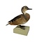 Antique mounted Duck couple
