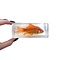 Goldfish in resin