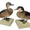 Antique mounted Duck couple