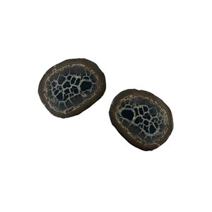 Septarie edelsteen knol