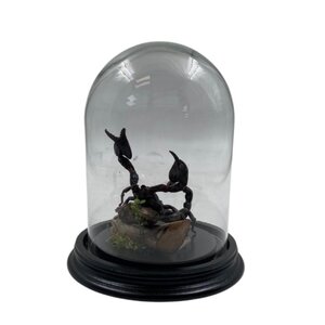 Dome with scorpion Heterometrus spinifer