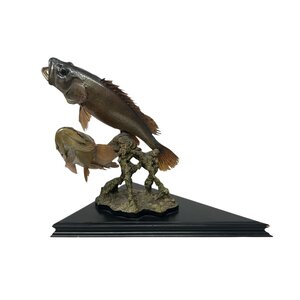 Mounted grouper couple