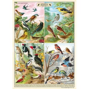 Schoolplaat - Vogels (C)