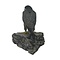 Mounted Peregrine falcon