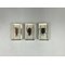 Insects in resin (3 pieces)