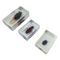 Insects in resin (3 pieces)