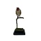Mounted european goldfinch - beige`(A)