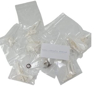 Komplettes Skelett Blaustirnamazone