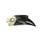 Skull of a Black-Casqued Hornbill  (F)
