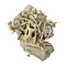 Incompleet skelet grote hond