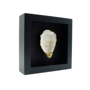 Oyster with pearl in elegant frame 16x16