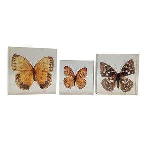 Set of 3 butterflies in resin