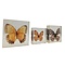 Set of 3 butterflies in resin