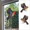 Raamsticker Roodborstje