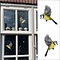 Raamsticker Pimpelmees