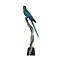 Stuffed blue-throated macaw