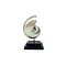 Polished nautilus shell S on black square stand