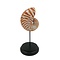 Nautilus S op sokkel