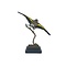 Mounted european goldfinch - beige`(A) Flying