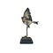 Mounted european goldfinch - beige`(A) Flying