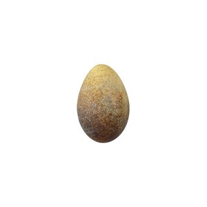 Replica Red-billed tropicbird egg