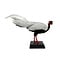 Mounted Silver pheasant