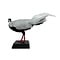 Mounted Silver pheasant