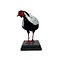 Mounted Silver pheasant