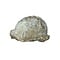 Landschildpad schild fossiel