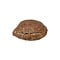 Prehistorisch schildpad schild