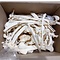 Compleet skelet Zebra