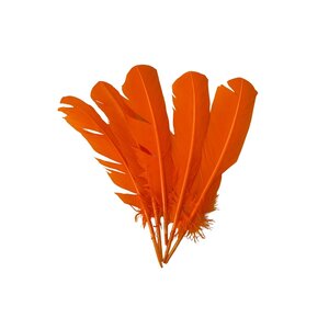 Bundle feathers orange 5 pieces
