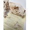 Leopard bones (complete skeleton)