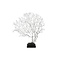 Sea fan on wooden base square M