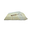 Jurassic Shrimp Fossil (A)