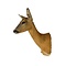 Präparierte Rehe-Trophäe (Weibchen)