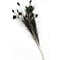 Peacock feathers (per 10 ) 100 - 110 cm