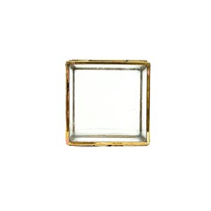 Glass case with brass (S)