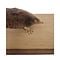Mounted mole